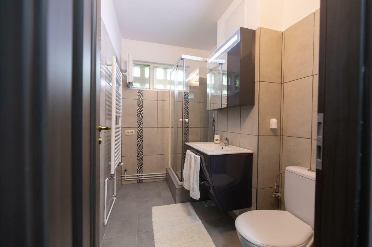 Apartament Ada Daire Sibiu Dış mekan fotoğraf